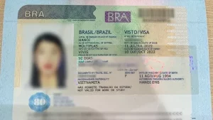 visa-brazil-1.webp