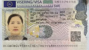 visa-thuy-dien-5.webp