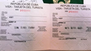 viss-cuba-1.webp