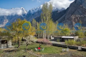 Kinh nghiệm xin visa Pakistan lần đầu: Hướng dẫn dễ đậu 2026