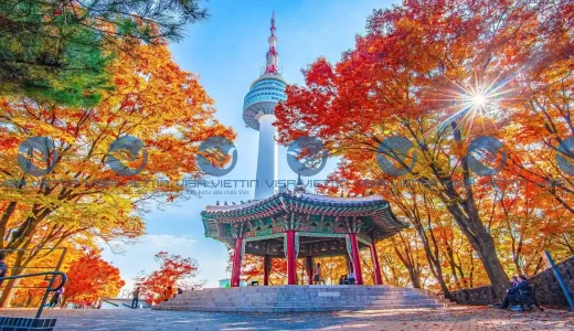 dich-vu-lam-visa-han-quoc-uy-tin-tphcm-visa-viettin