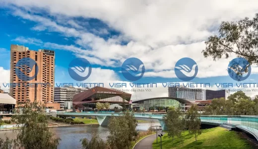 visa viettin 20