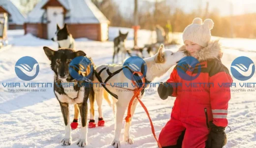 visa viettin 4