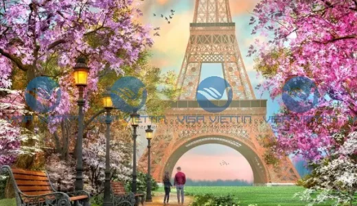 visa viettin 5
