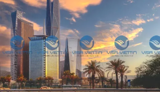 visa viettin 6