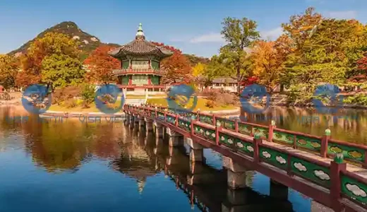 xin-visa-han-quoc-visa-viettin